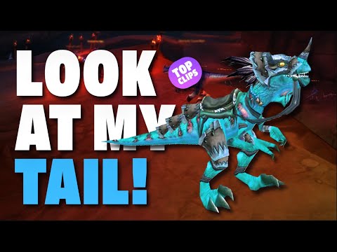 Goodbye BfA you were fun sometimes!