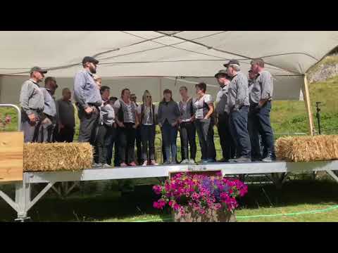 Alpublüome JK Echo vam Bietschhorn