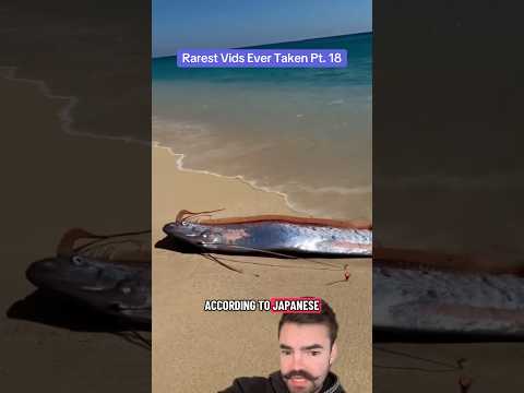 “Doomsday fish” sightings causing PANIC online… #rare