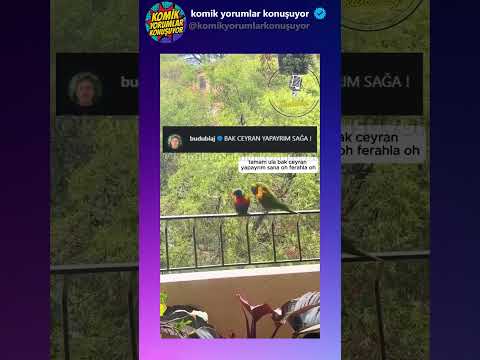 @Budublaj Fatih hamsiköy sütlacının peşinde! #komikyorumlar #komikvideolar #shortsvideo #shorts