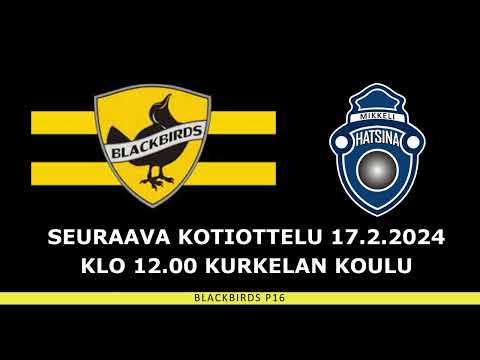 Maalikooste P16 1-div Blackbirds-LFT 13.2.2024