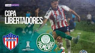Junior (COL) vs Palmeiras (BRA) | HIGHLIGHTS Copa Libertadores | 04/08/2026 | beIN SPORTS