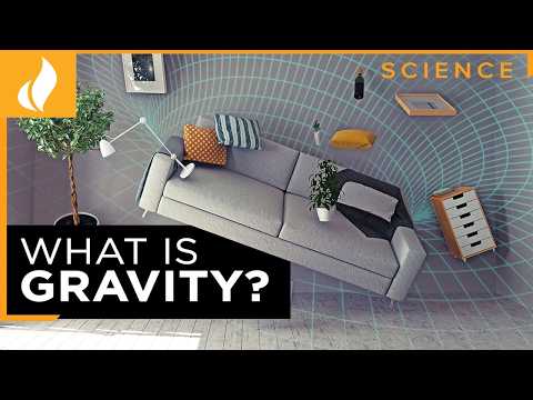 General Relativity and Gravity | What Einstein Discovered