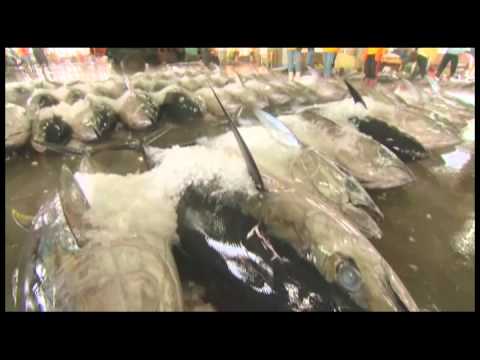 勇渡藍海【耕耘臺灣　農業全印象】系列紀錄片(3分鐘)