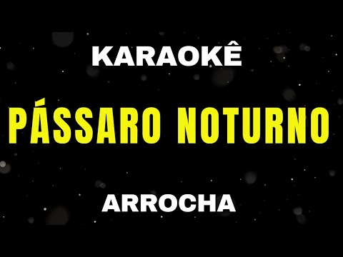 Karaokê de Arrocha - Pássaro Noturno