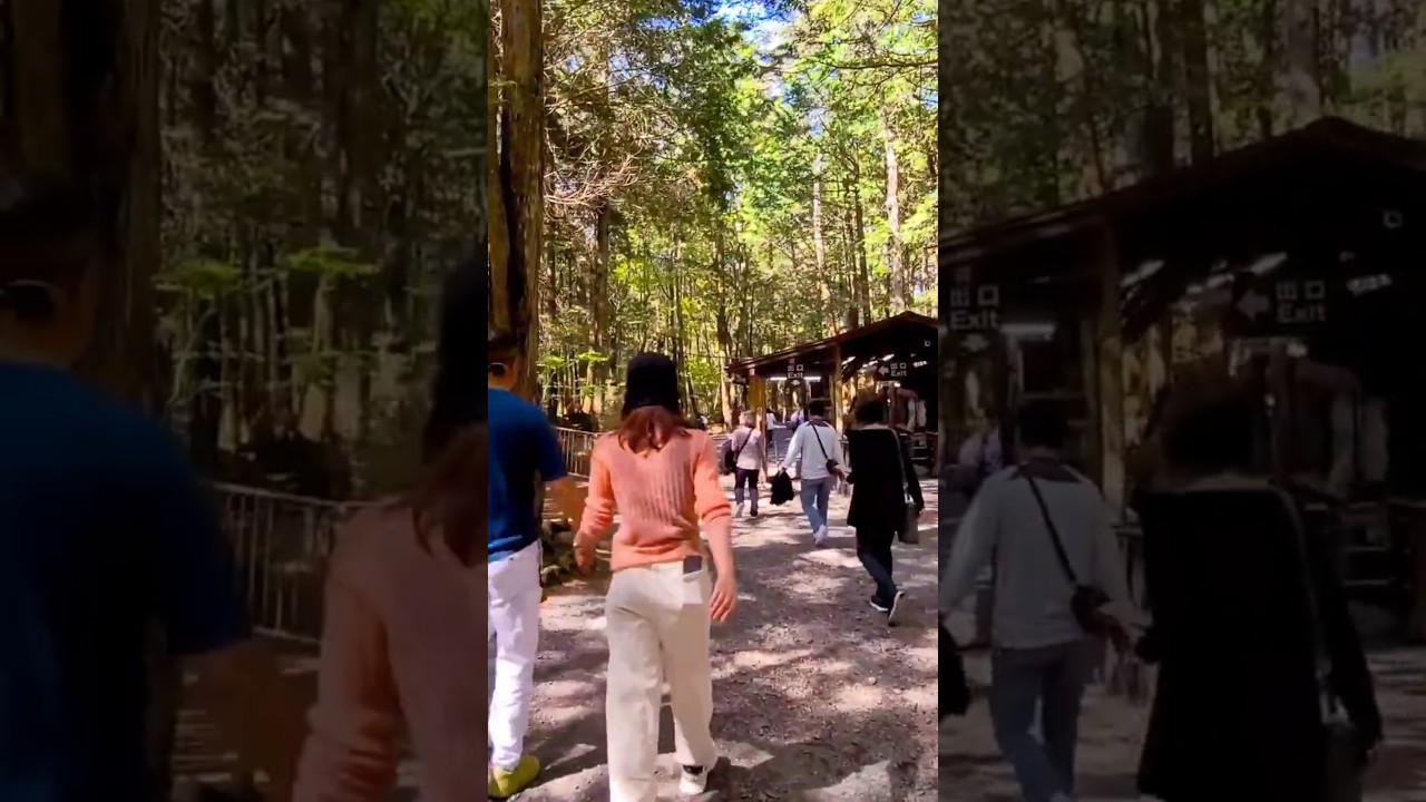 YouTube Short thumbnail