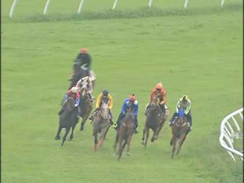 4 JANUARY 2017  Trial 1