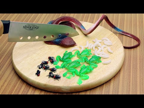 Stop Motion Cooking - Make Bibimbap (Lego In Real Life 23 - frogs and bugs) | Cuckoo