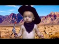 The Booby Bandit