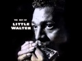 Little Walter , Last Boogie