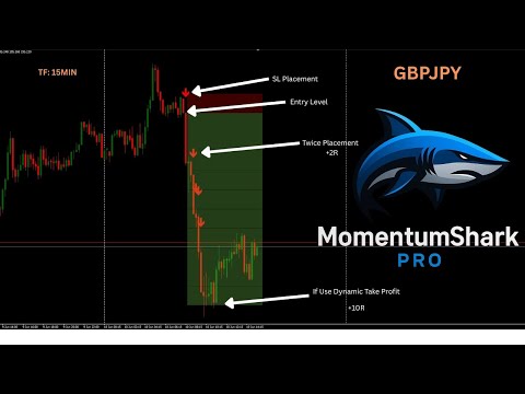 Video Momentum Shark Pro