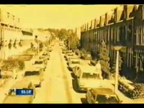 The Nits In The Dutch Mountains - I was born in the valley of bricks...