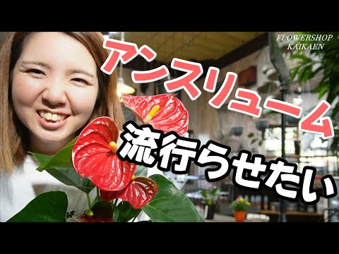 アンスリウムは酸性土壌の過剰な水やりを嫌いますか?