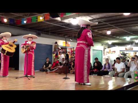 Mariachi Flor de Jalisco - Mi Tierra Mexicana