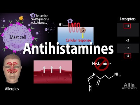 Histamine and Antihistamines, Pharmacology, Animation