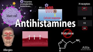 Histamine and Antihistamines, Pharmacology, Animation