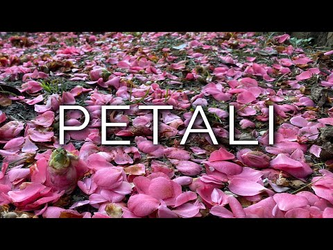 1276-IT Maria, PETALI - Ipnosi Esoterica ∞ Lucio Carsi