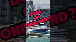 Dogs in STROLLER on Cruise 👎 Should This Be Allowed?