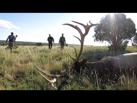 What changed with the Arizona Big Game Draw Process?