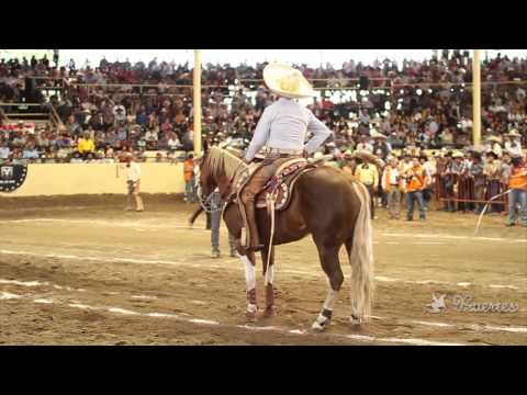 Open fishing ground and futurity at the 2013 Millionaire Championship