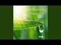 Canon and Gigue in D Major: I. Canon