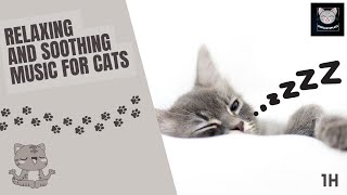 💤 Relaxing and soothing music for cats – (with purrs) 1 hour 😺