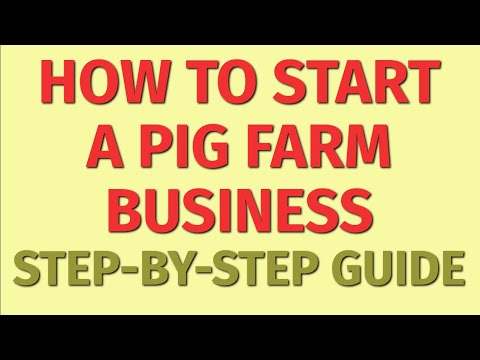 , title : 'Starting a Pig Farm Business Guide | How to Start a Pig Farm Business | Pig Farm Business Ideas'