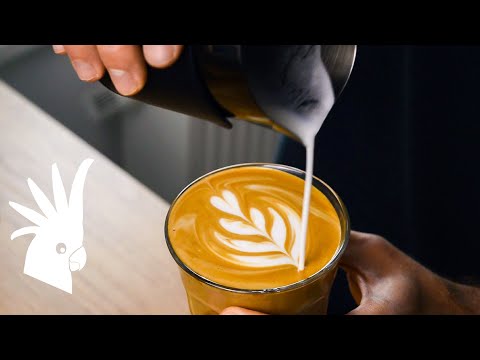 Latte Art & Milch Aufschäumen verbessern: Aufmerksames Beobachten hilft dir dabei (# Folge 2)