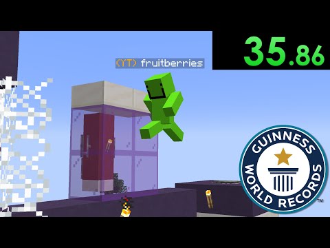 Fruitberries Smashes Minecraft World Record