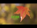 DAVID DARLING - Remembering our mothers /HD /Autumn relaxation