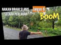 Fatal Increase The Libido Slowly PINK ANIS Don T Force It Redanismocetsound Therapy