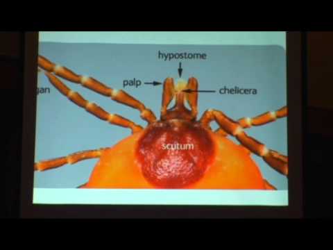 Ralph Nuzum Lecture Series: Ticks Around You: Biology & Control