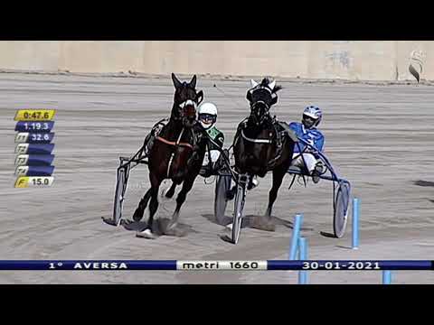Aversa trotto 30 Gennaio 2021 - 1° Corsa