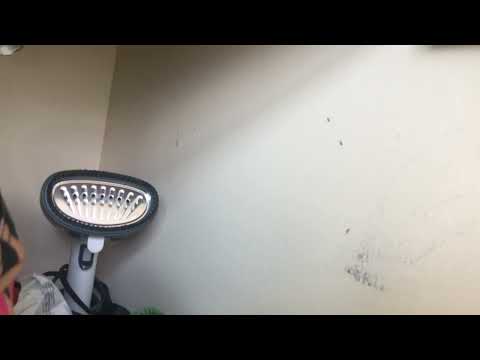 Ants Take Control of the Bathroom in Rumson, NJ