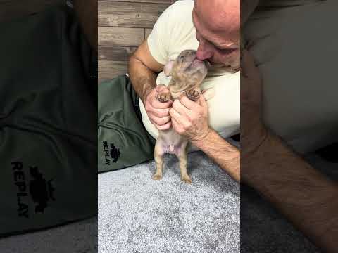 Video 1