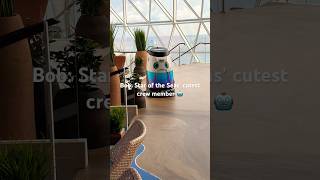 The Real Star of the Seas? Bob the Robot!