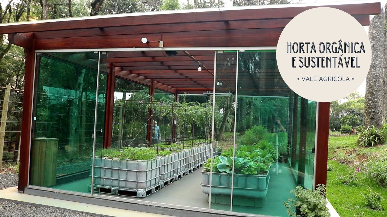 Olha esta horta orgânica e sustentável! 😱