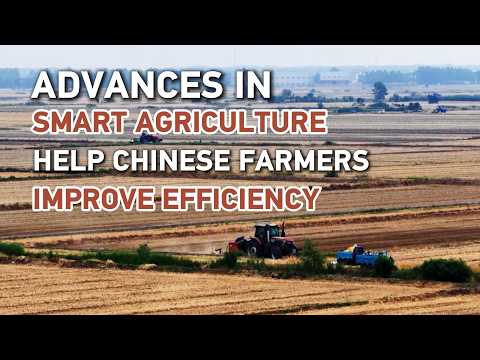 Advances in smart agriculture help Chinese farmers improve efficiency