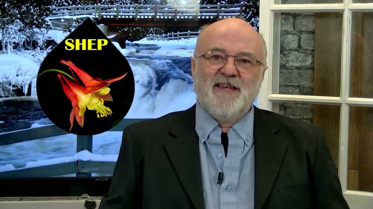 Info-CJSR du 13 mars 2025