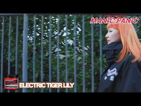 ELECTRIC TIGER LILLY/エレクトリックタイガーリリー
