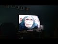 Opening To Really Wild Animals Swinging Safari Vhs 1994 Edited
