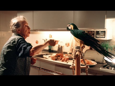 Heimatgeschichten -  Heimweh /  Der Besuch der alten Damen ( Inge Meysel )