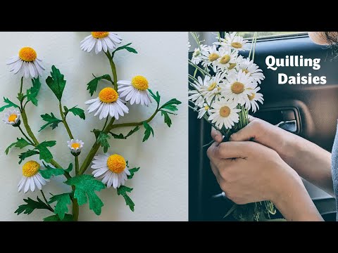 Making quilling daisies out of strips of paper - DIY Chamomile Flowers