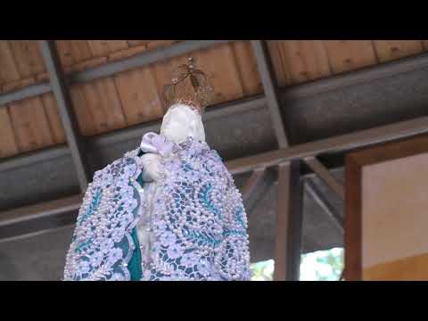 TOM X CECÍLIA - F.D.J. - RELUZ O BRILHO