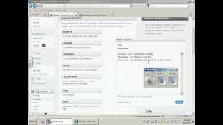 Adding a text box in wordpress