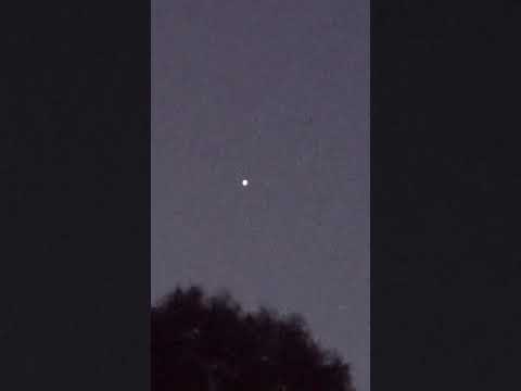 Orb filmed by Pete Slattery on the 28th of August 2026 at Jaya Sanctuary in VIC Australia. #UFO