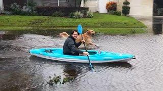 🎬 Caught on Camera Moments You Won’t Believe Are Real!