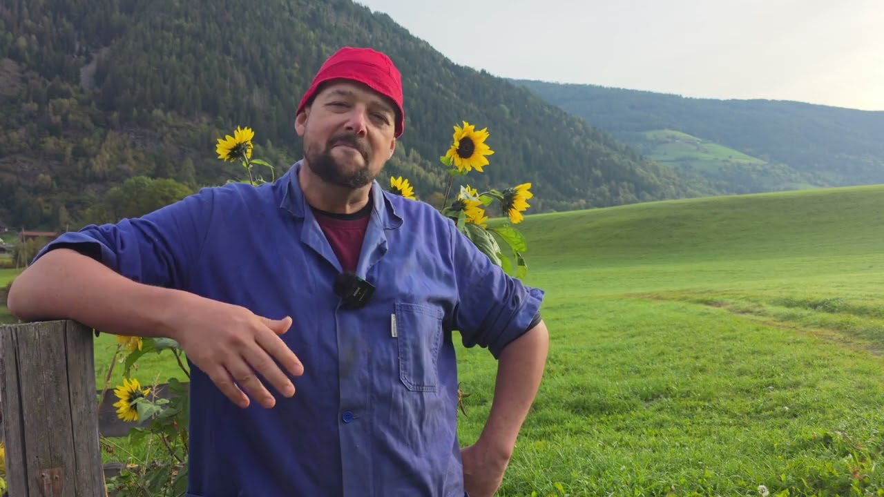 Andi Babler tritt zurück 
