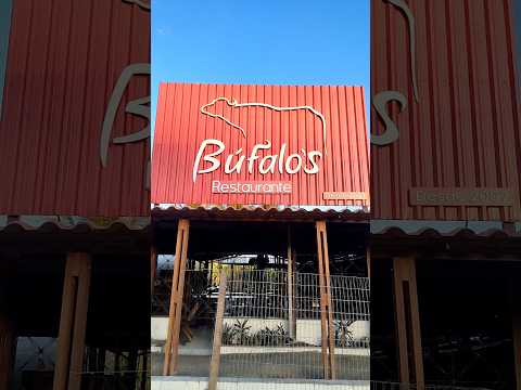 são luís do quitunde 🇧🇷