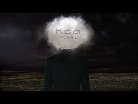 ROA - Norul (Official Single)